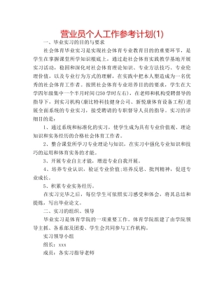 营业员个人工作参考计划(1) 