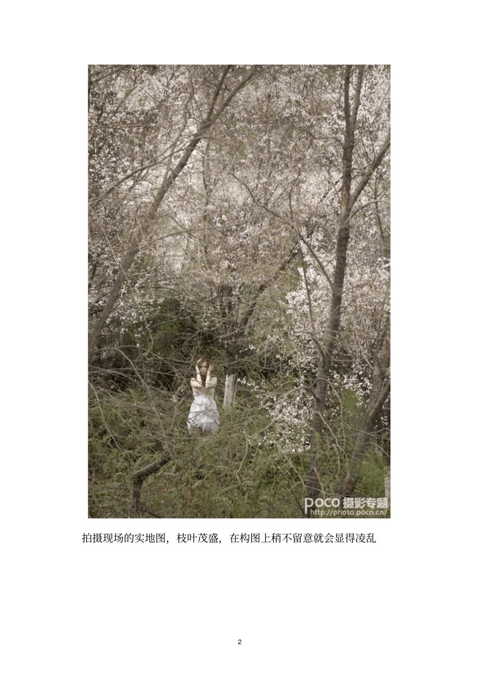 如何在杂乱场景中提炼主体模板_第2页
