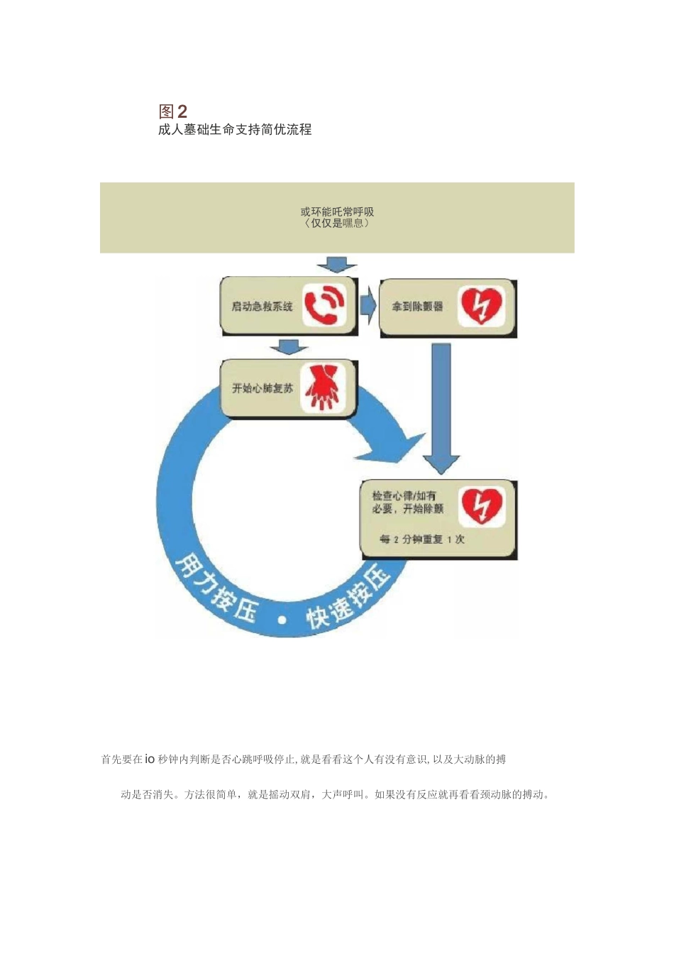 心肺复苏课件_第2页