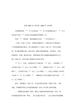 委2005年工作总结2006年工作安排
