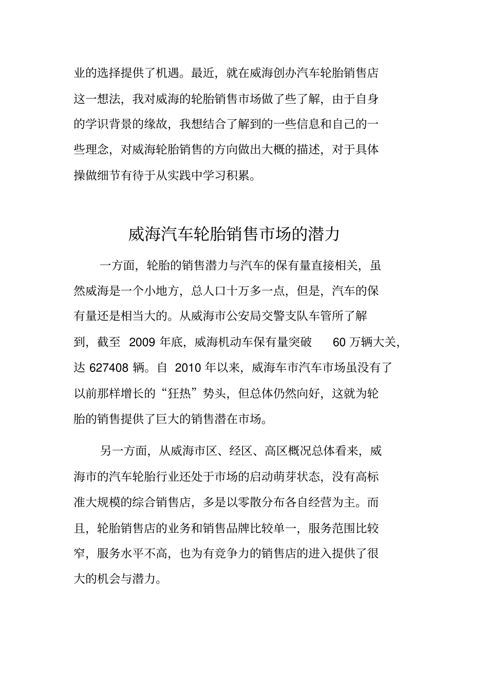 威海汽车轮胎销售场调查报告_第3页