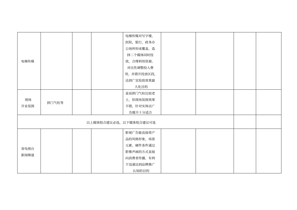 媒体投放计划表_第2页
