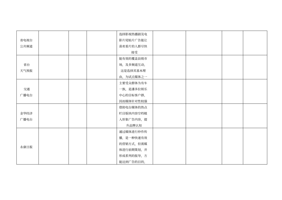 媒体投放计划表_第3页