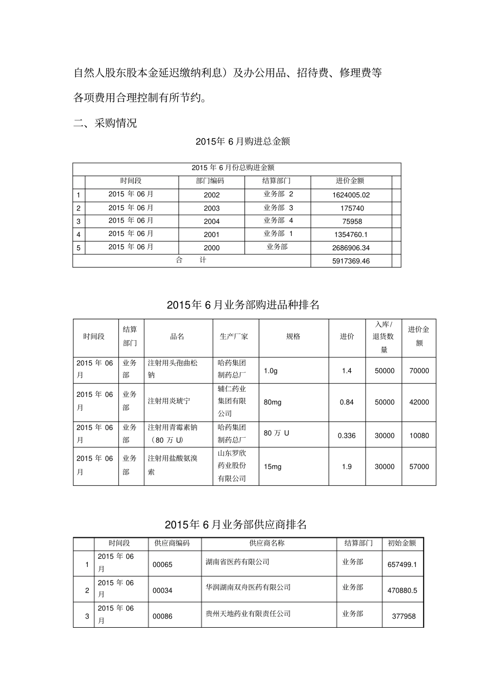 子公司月度述职月报_第2页