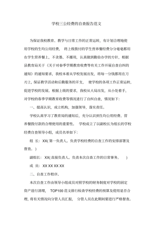 学校三公经费的自查报告范文