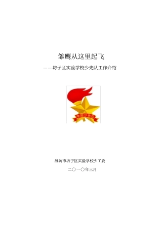 学校少先队总结