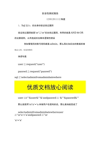 安全性测试报告