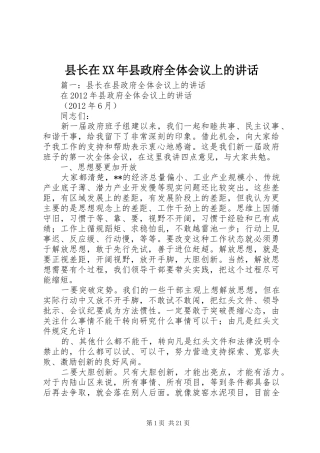 县长在XX年县政府全体会议上的讲话发言