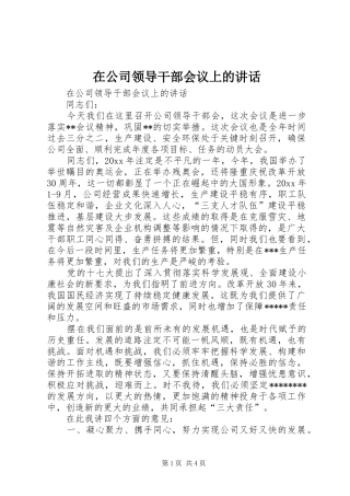 在公司领导干部会议上的讲话发言