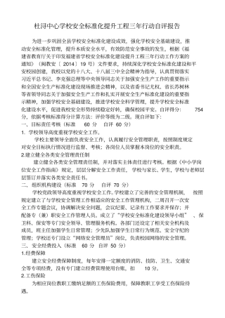 安全标准化提升工程三年行动自评报告