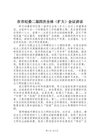 在市纪委二届四次全体（扩大）会议讲话发言
