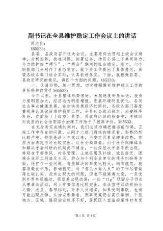 副书记在全县维护稳定工作会议上的讲话发言