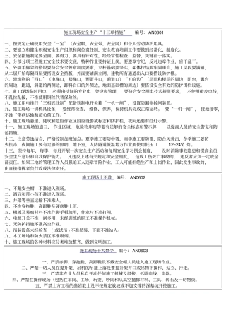 安全管理十大项资料