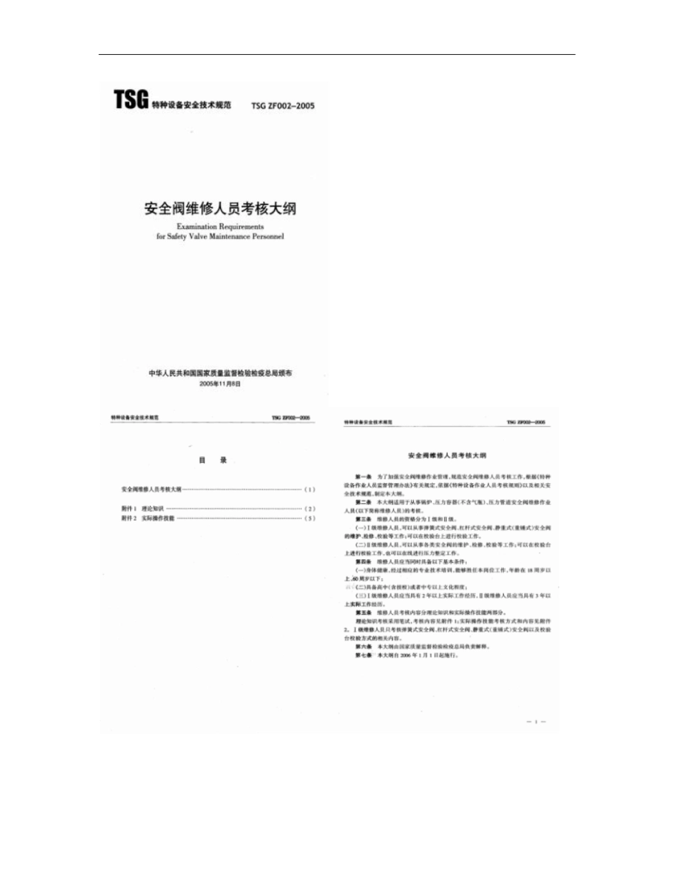 安全阀维修人员考核大纲TSGZF002005概要_第1页