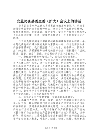 安监局在县委全委（扩大）会议上的讲话发言