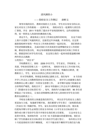 安稳办主任述职报告