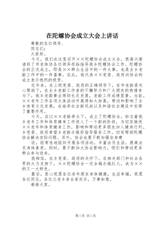 在陀螺协会成立大会上讲话发言