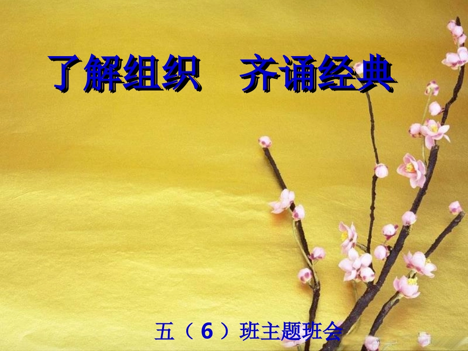 建队主题队会_第1页