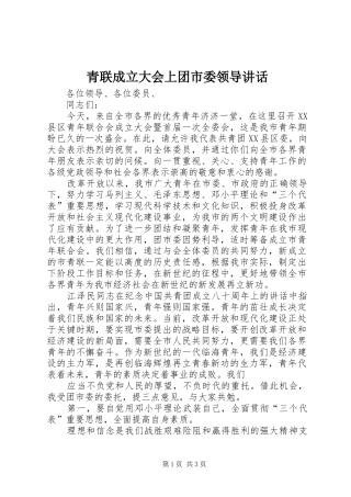 青联成立大会上团市委领导讲话发言
