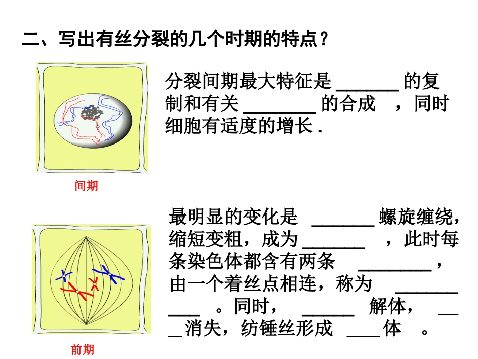 有丝分裂复习_第3页