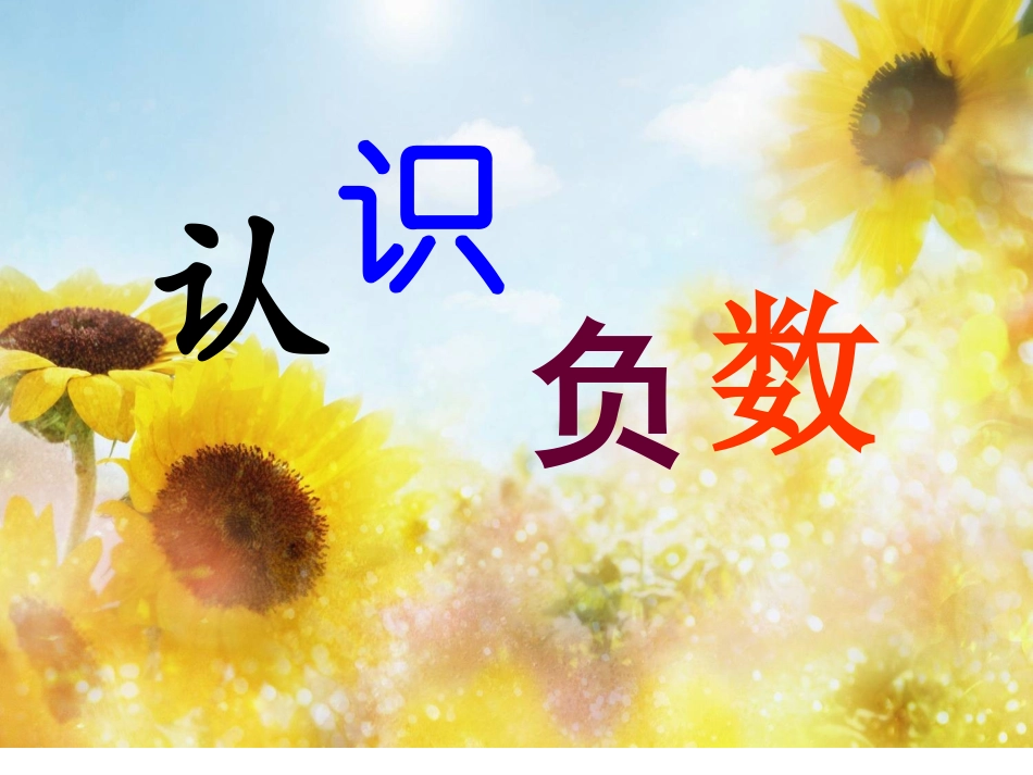 负数的认识课件_第2页