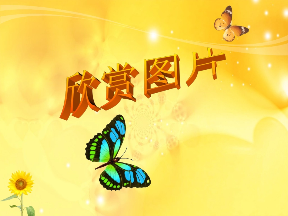 -四年级蝴蝶落我家gdkj2_第3页