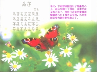 -四年级蝴蝶落我家gdkj2