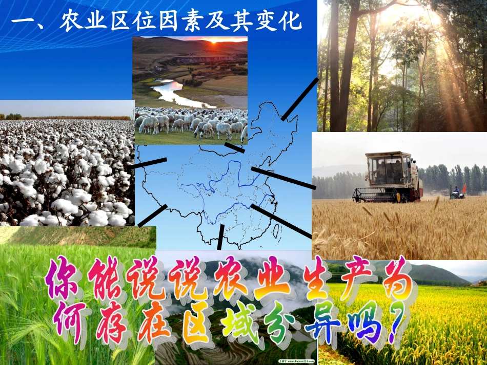 农业区位的选择_第3页