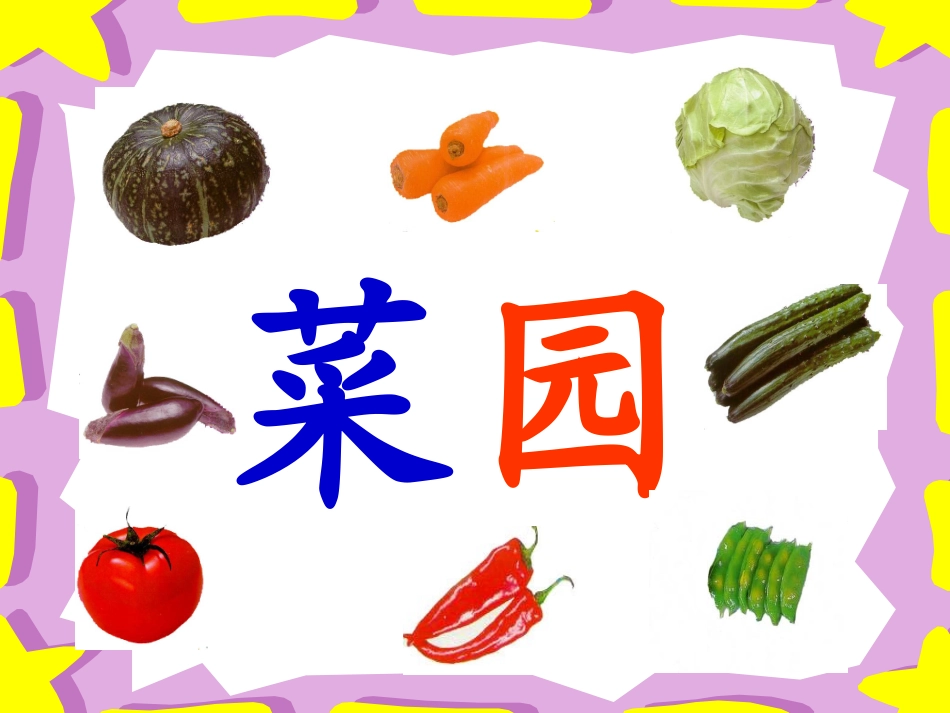 《菜园里》第一课时_第2页