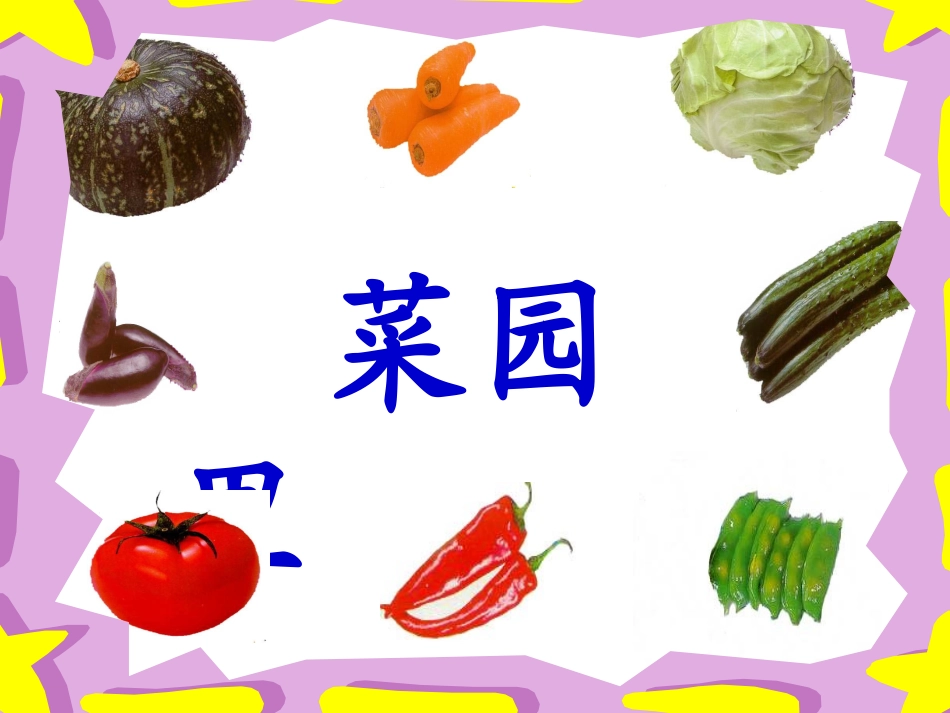 《菜园里》第一课时_第3页