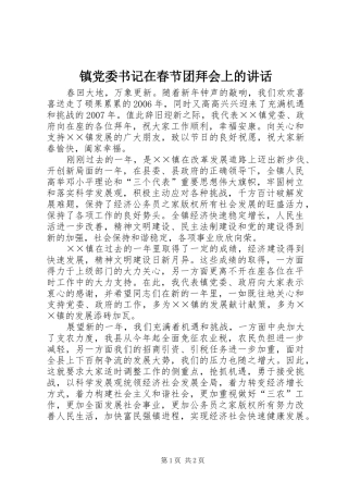 镇党委书记在春节团拜会上的讲话发言