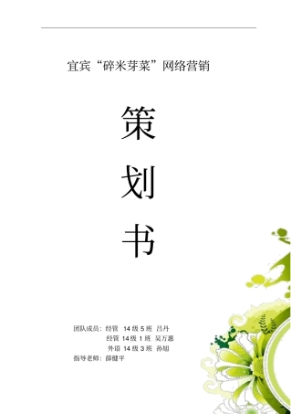 宜宾碎米芽菜网络策划书new剖析