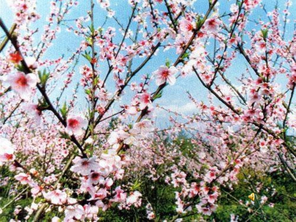 《特别的作业》课件1_第2页