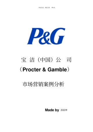 宝洁成功的案例分析