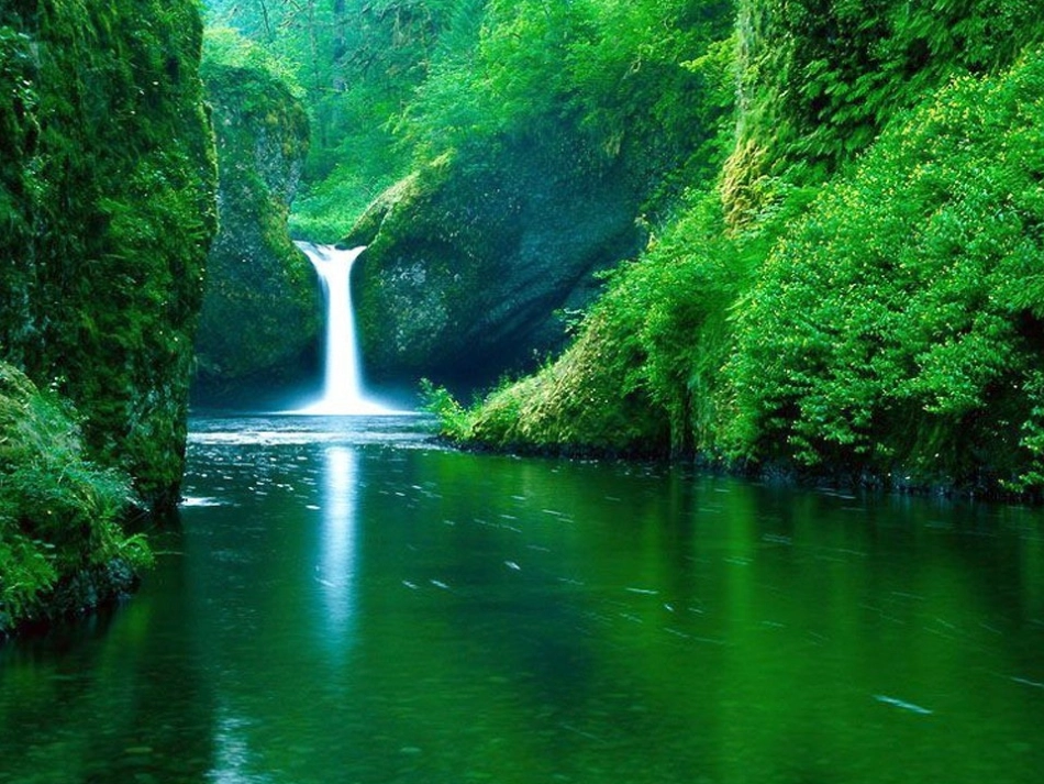 教学课件_光的反射PPT (2)_第1页