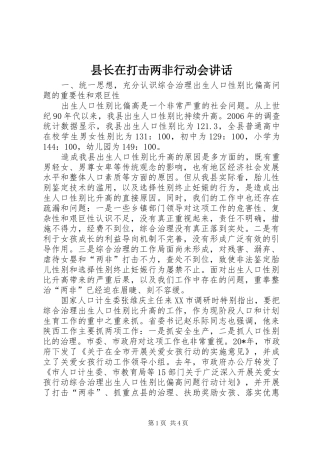 县长在打击两非行动会讲话发言