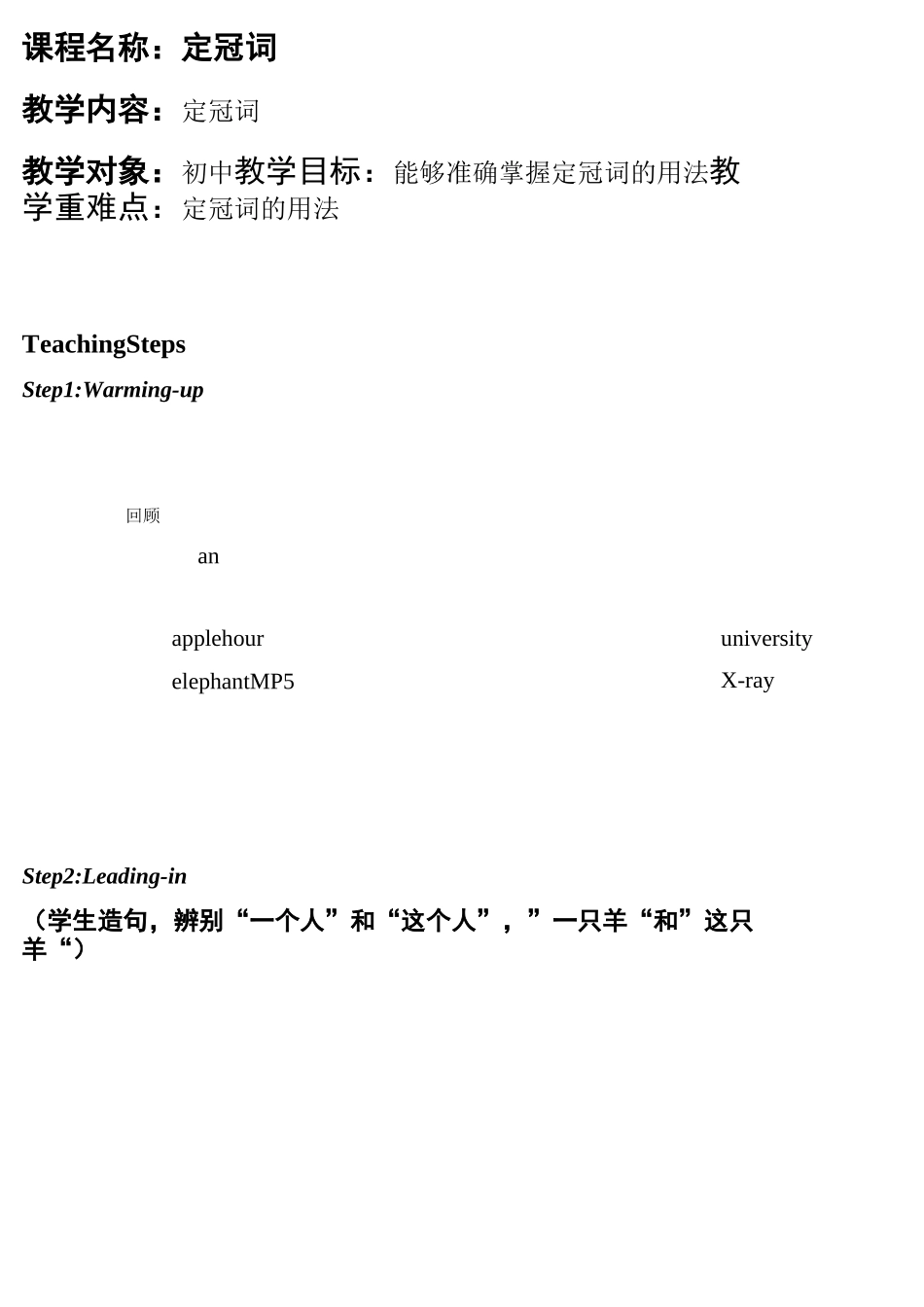 定冠词使用语法教案_第1页