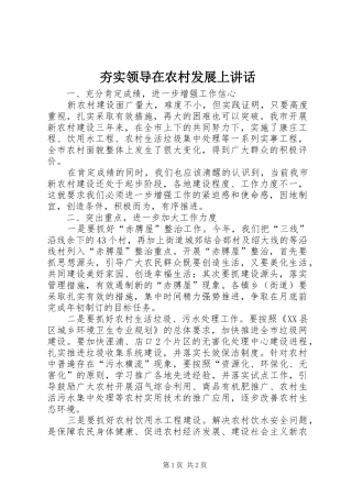 夯实领导在农村发展上讲话发言