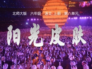 阳光皮肤课件