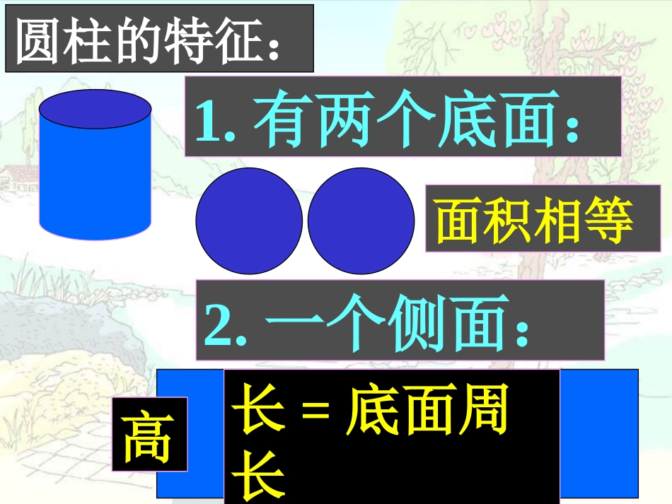 （北师大版）圆柱与圆锥的活动课_第3页