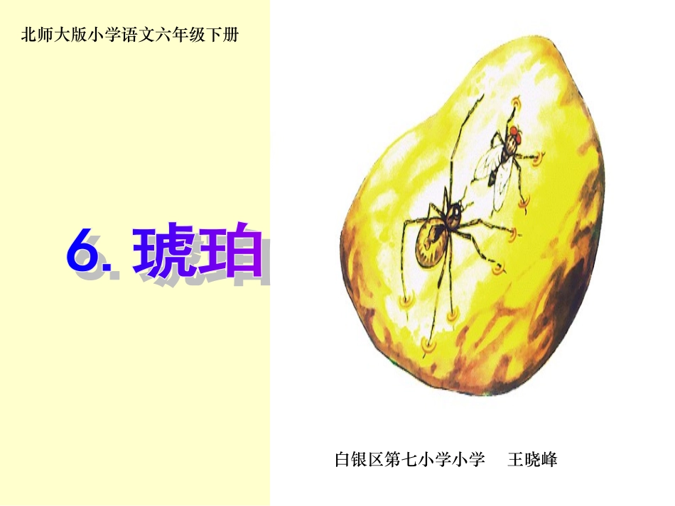 《琥珀》课件_第1页