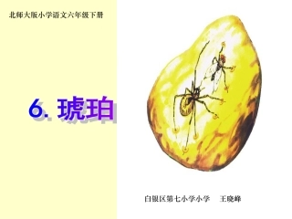 《琥珀》课件