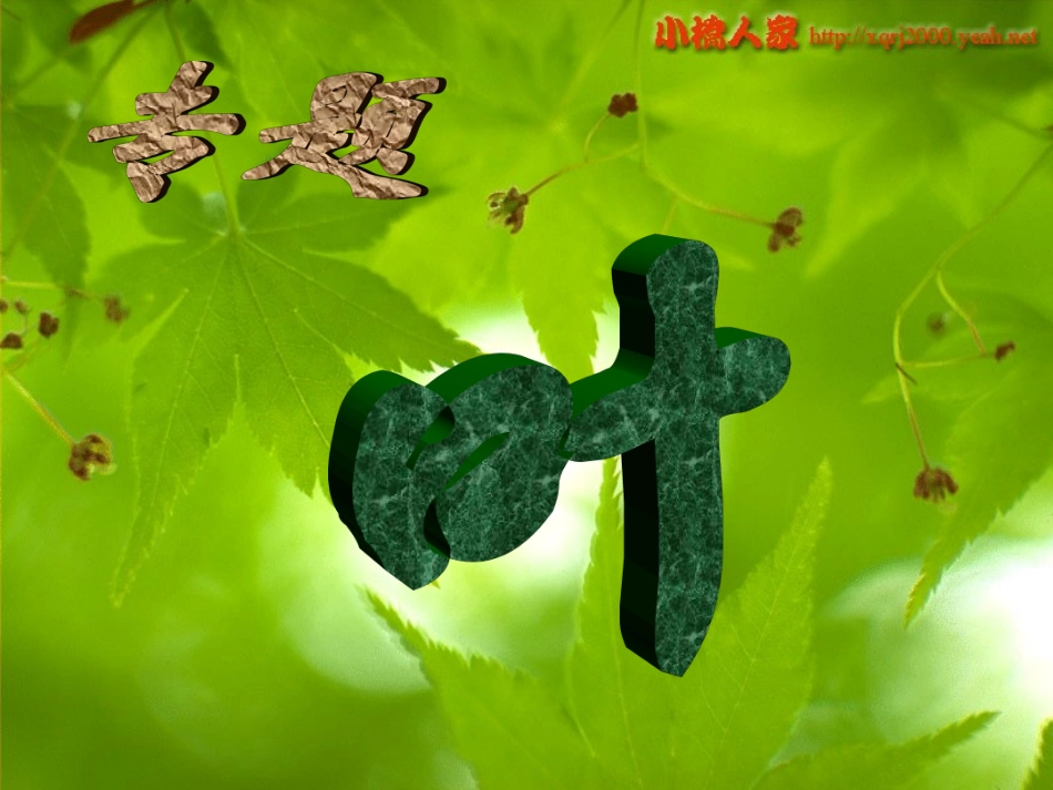初中苏教版八年级下册第五单元《专题叶》课件3_第1页