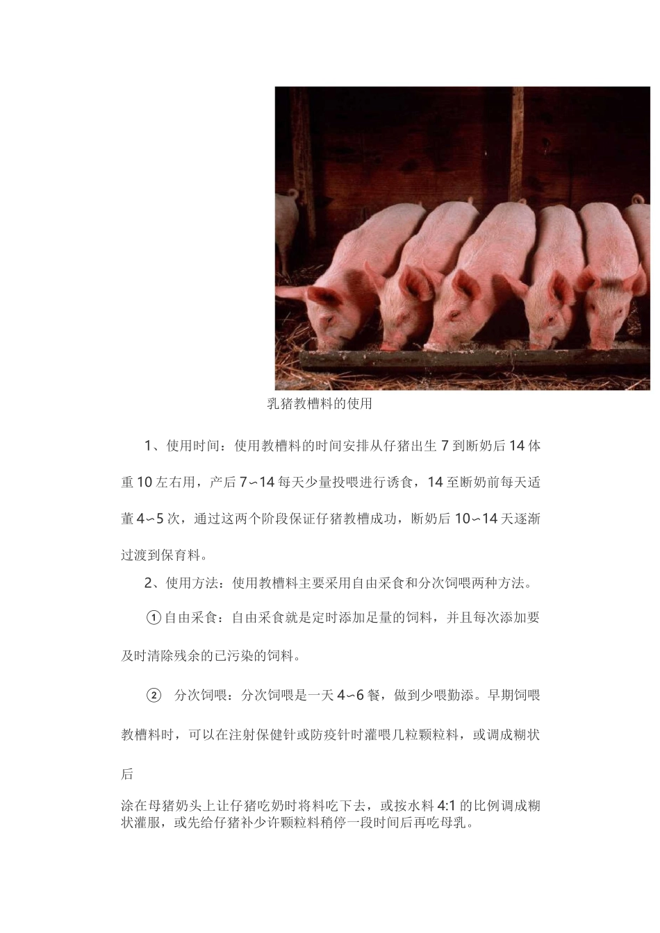 乳猪教槽料配方及其使用_第2页