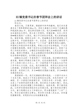XX镇党委书记在春节团拜会上的讲话发言