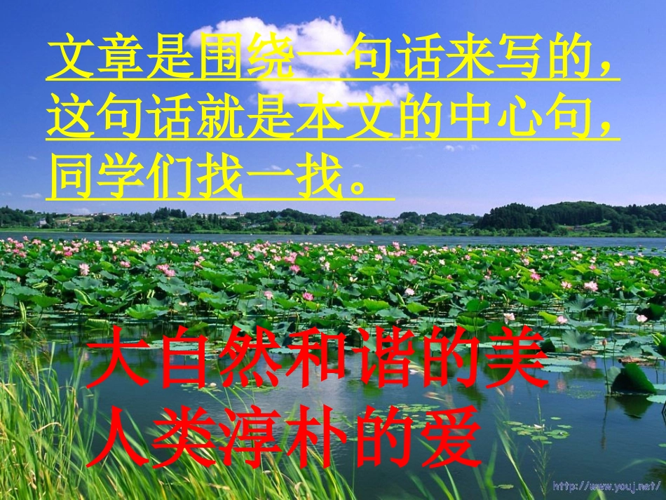 荷塘旧事课件(北师大版六年级语文上册课件)_第3页