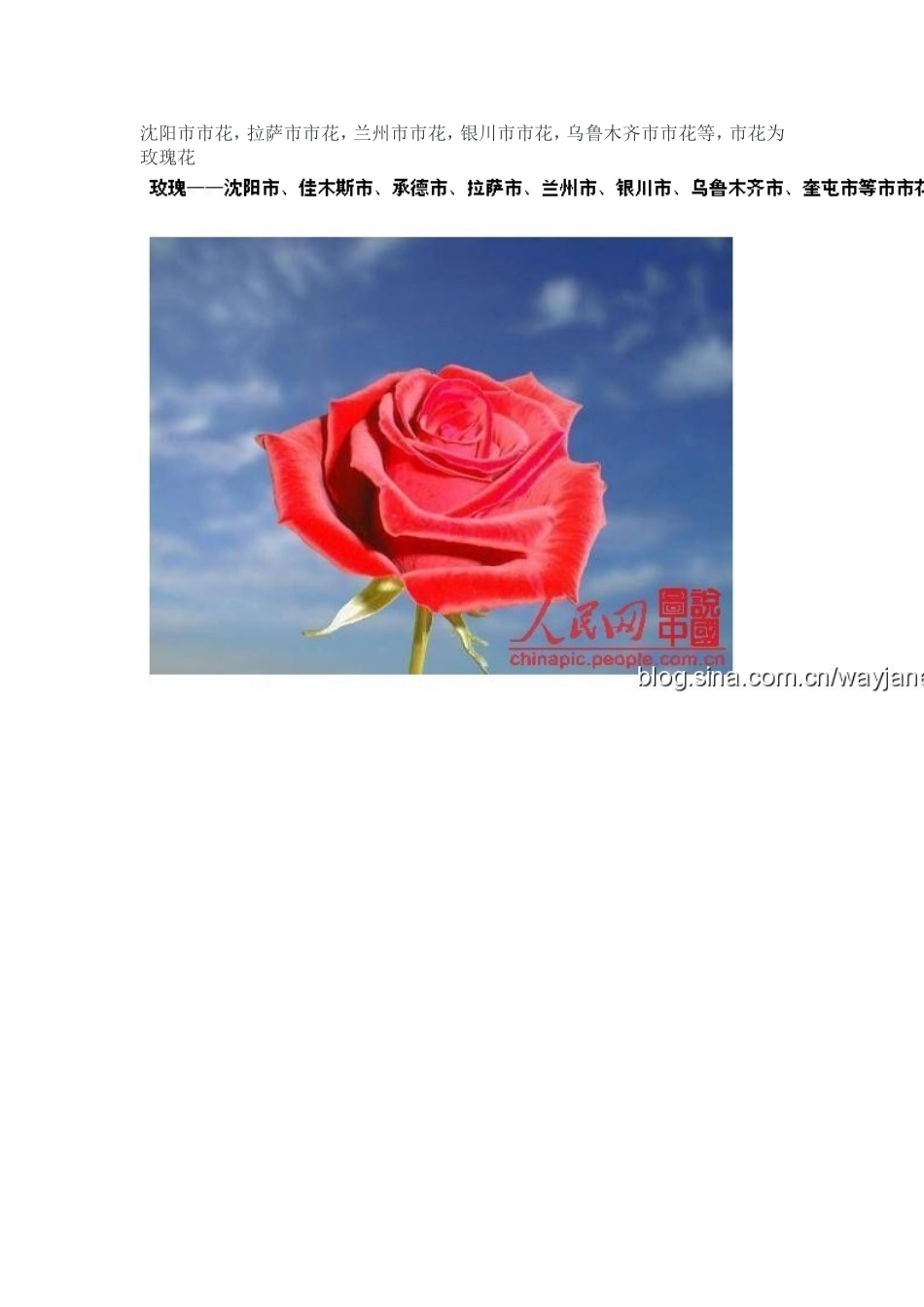 中国各城市的市花_第2页