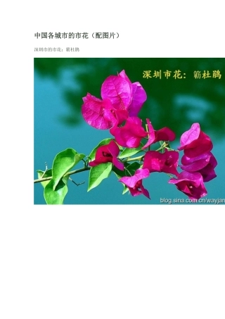 中国各城市的市花