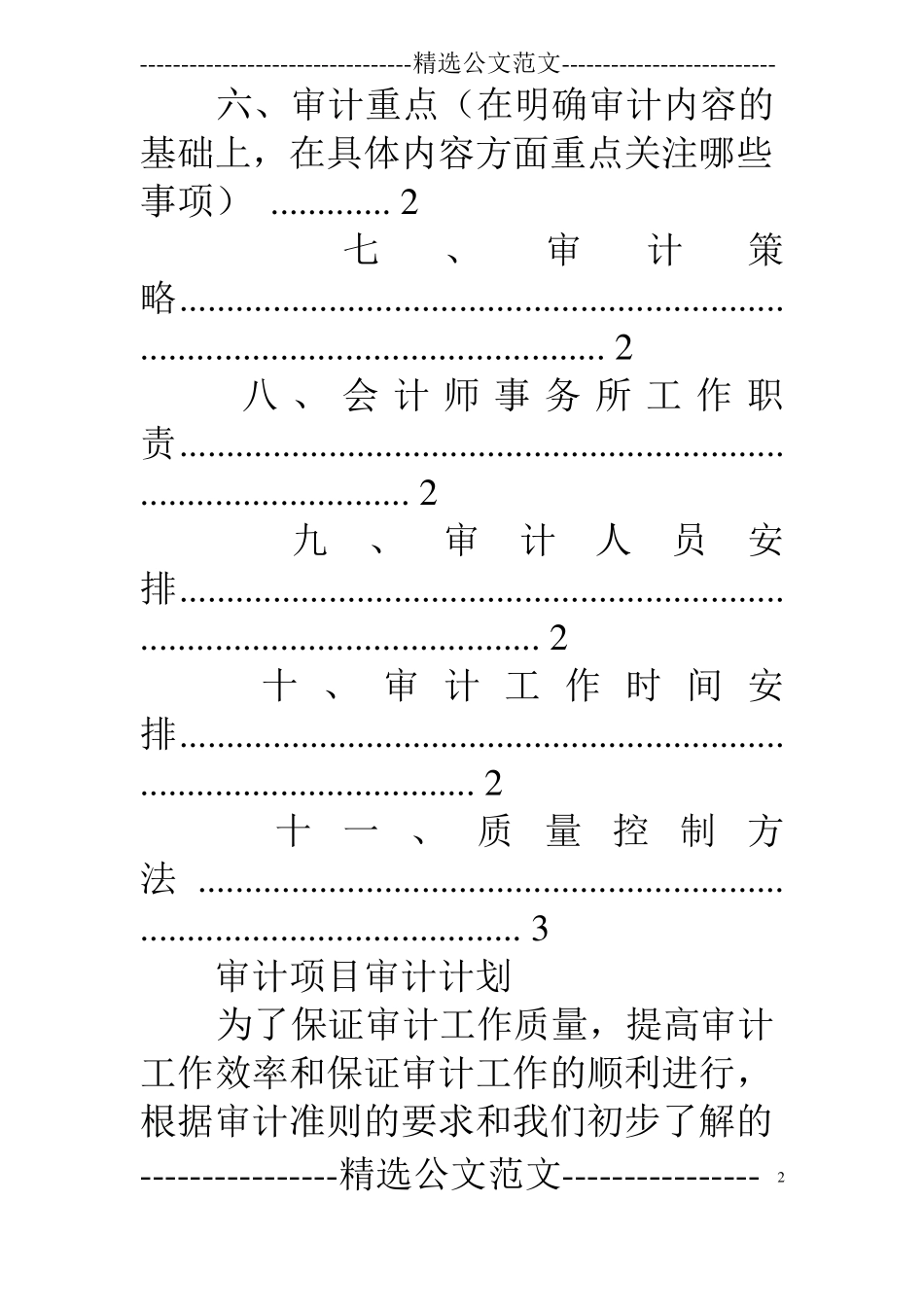 审计总体工作计划表模板_第2页