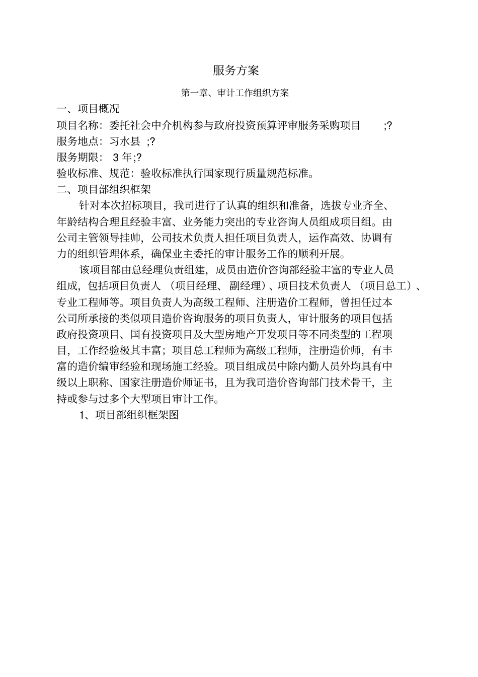 审计服务方案_第1页